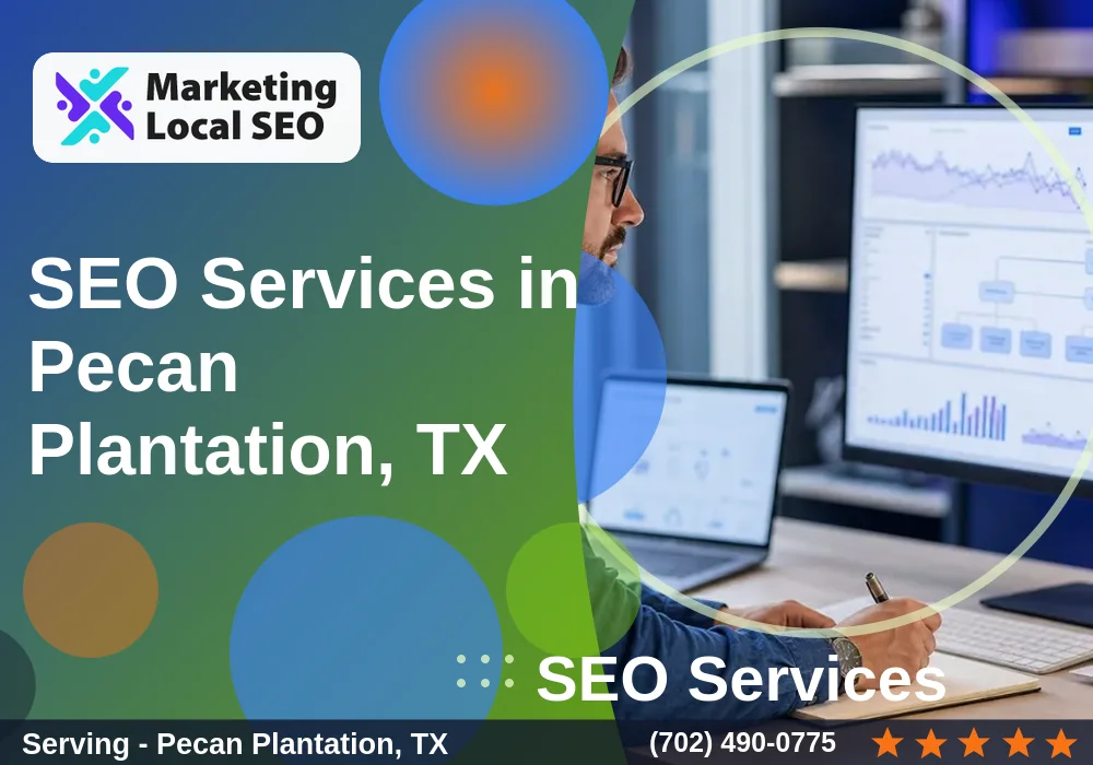 SEO Services in Pecan Plantation, TX