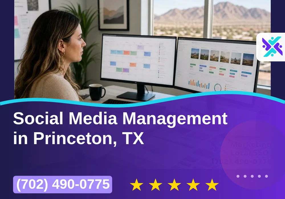 Social Media Management in Princeton, TX