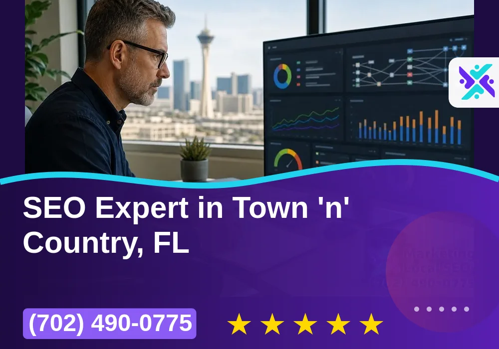 SEO Expert in Town 'n' Country, FL