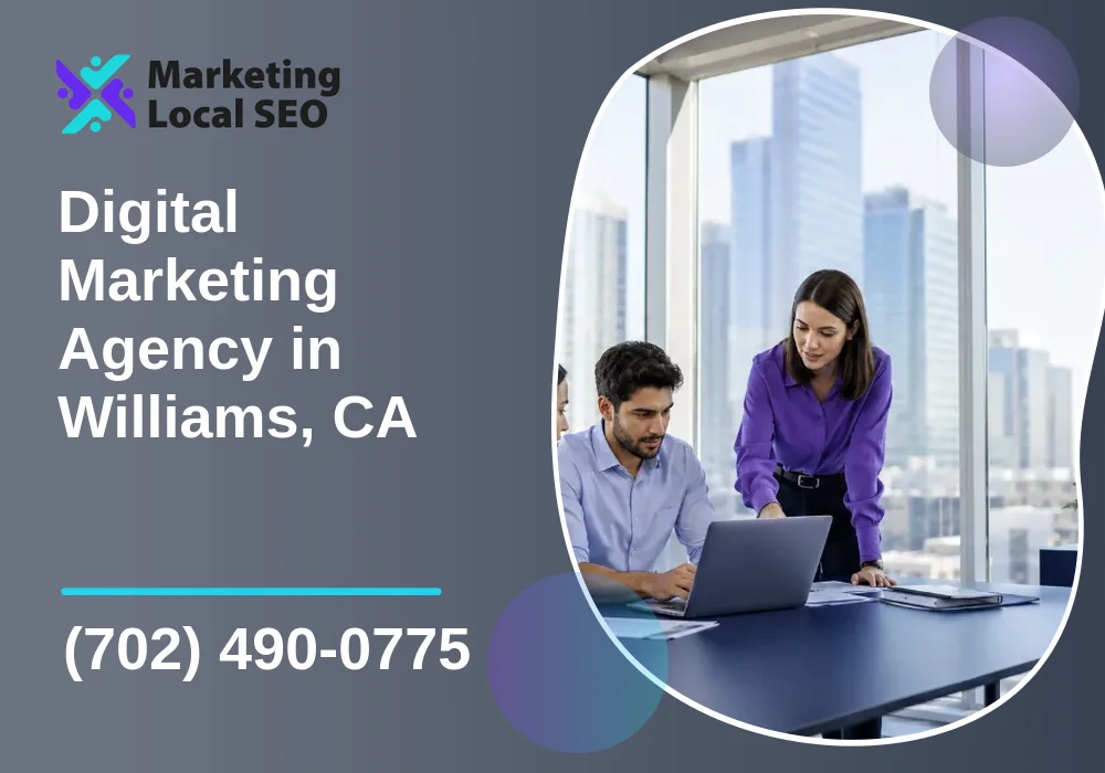 Digital Marketing Agency in Williams, CA